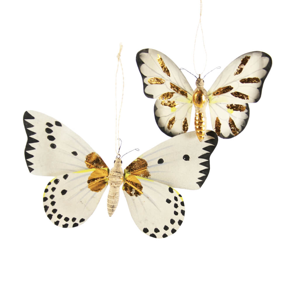 Moth with Gold Markings Ornament 5 - 7" - bubblegum market