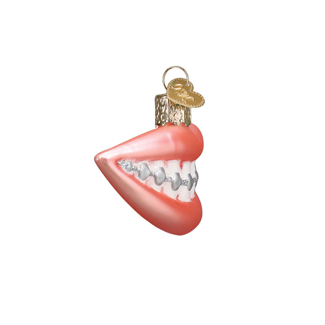 pink-lips-braces-ornament-teeth-mouth-smile-old-world-christmas-side-view